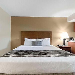 Queen Room Two Queen Beds Wet Bar
